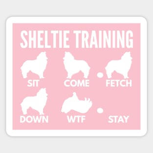 Shetland Sheepdog Training Sheltie Dog Tricks Sticker